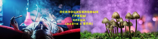 PSILOCYBIN Волосово